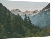 Bos op een berg - Foto op Canvas - 90 x 60 cm