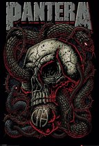 Pantera Poster Snake Eye 61x91.5cm