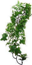 PHILODENDRON PLANT 60CM