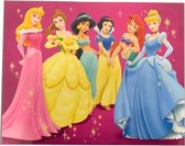 Disney Poster Princess Junior 50 X 40 Cm Papier Roze