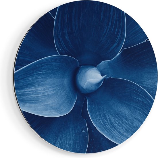 Artaza Dibond Muurcirkel Blauwe Agave Plant - Bloem - Ø 90 cm - Groot - Wandcirkel - Rond Schilderij - Voor Binnen en Buiten