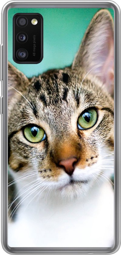 Coque Samsung Galaxy A41 - Chat - Portrait - Yeux - Siliconen - Noël - Cadeaux - Chaussures Cadeaux