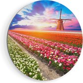 Artaza Dibond Muurcirkel Kleurrijke Bloemenveld Met Een Windmolen - Ø 40 cm - Klein - Wandcirkel - Rond Schilderij - Voor Binnen en Buiten