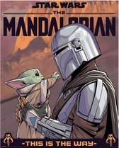 LE MANDALORIEN - Hello Little One - Mini poster 40x50cm
