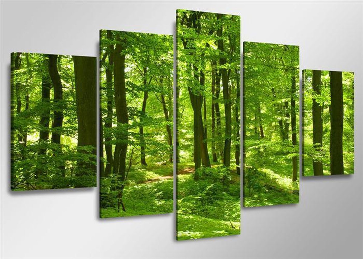 Bomen - Canvas Schilderij Vijfluik 160 x 80 cm