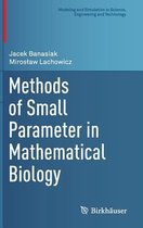Methods of Small Parameter in Mathematical Biology