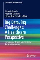 Big Data, Big Challenges: A Healthcare Perspective