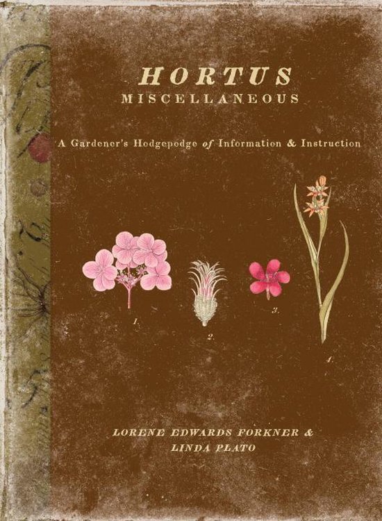 Hortus Miscellaneous - cover