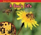 A Bee's Life