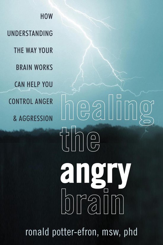 Healing the Angry Brain - cover