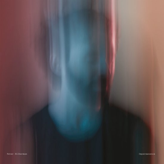 Impermanence (LP)