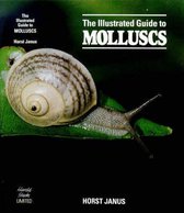 The Illustrated Guide to Molluscs