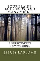 Four Brains, Four Egos, and Many Minds