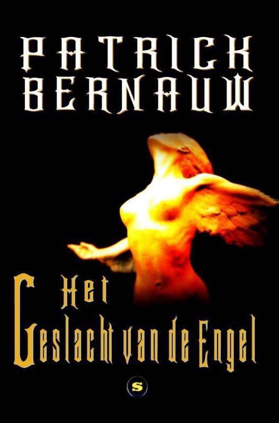 Cover van het boek 'Het geslacht van de engel'