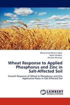 Wheat Response to Applied Phosphorus and Zinc in Salt-Affected Soil