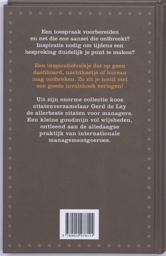 Succesregels Voor Managers, Gerd de Ley