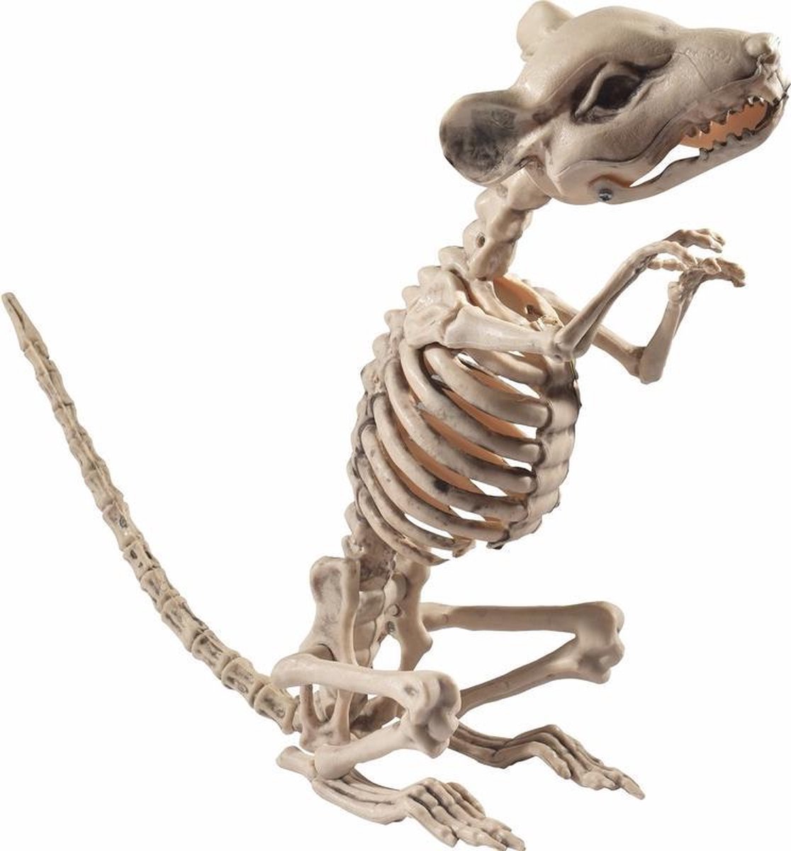 Rat/muis skelet decoratiebeeldje 33 cm - Halloween versiering | bol.com