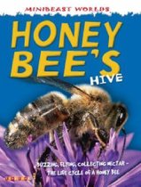 Honey Bee's Hive