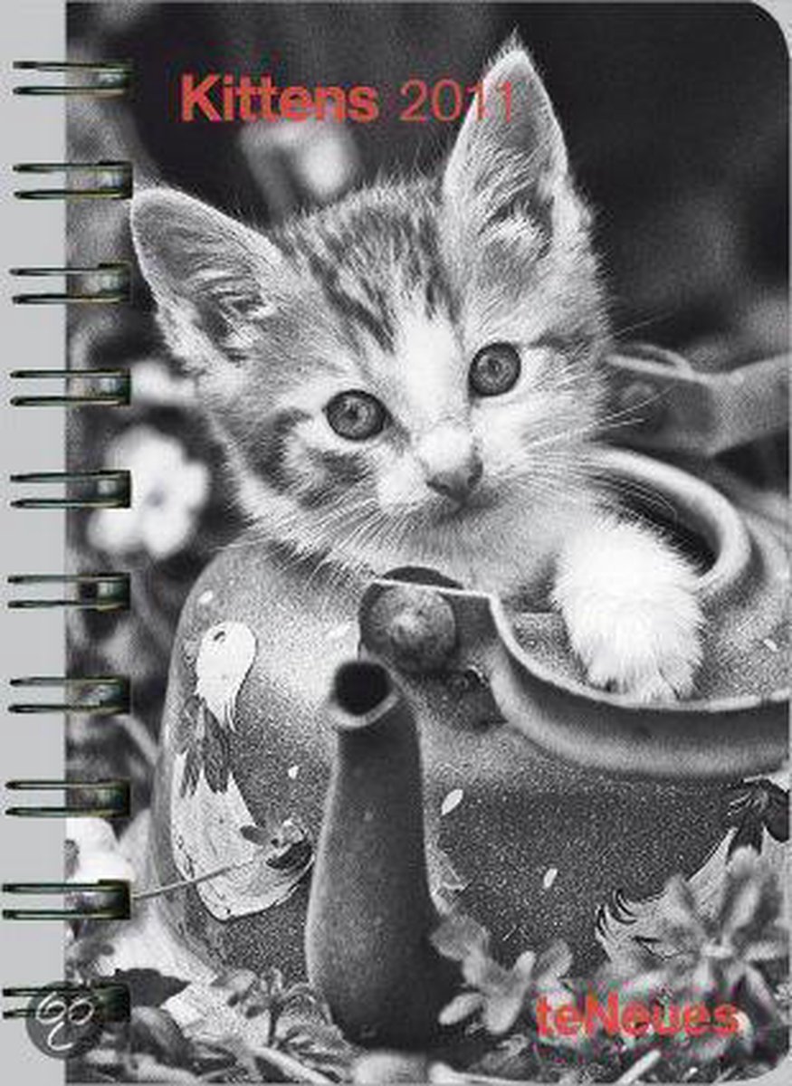 2011 Kittens Pocket Diary