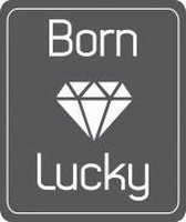 Born Lucky 3 in 1 kinderwagens geschikt voor 1 kind - 15 kg en zwaarder