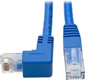 Tripp Lite N204-001-BL-DN netwerkkabel 0,31 m Cat6 U/UTP (UTP) Blauw