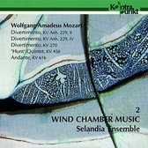 Selandia Ensemble - Wind Chamber Music 2 (CD)