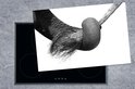 Product afbeelding  7