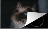 KitchenYeah® Inductie beschermer 78x52 cm - Ragdoll kat met mooie blauwe ogen - Kookplaataccessoires - Afdekplaat voor kookplaat - Inductiebeschermer - Inductiemat - Inductieplaat mat