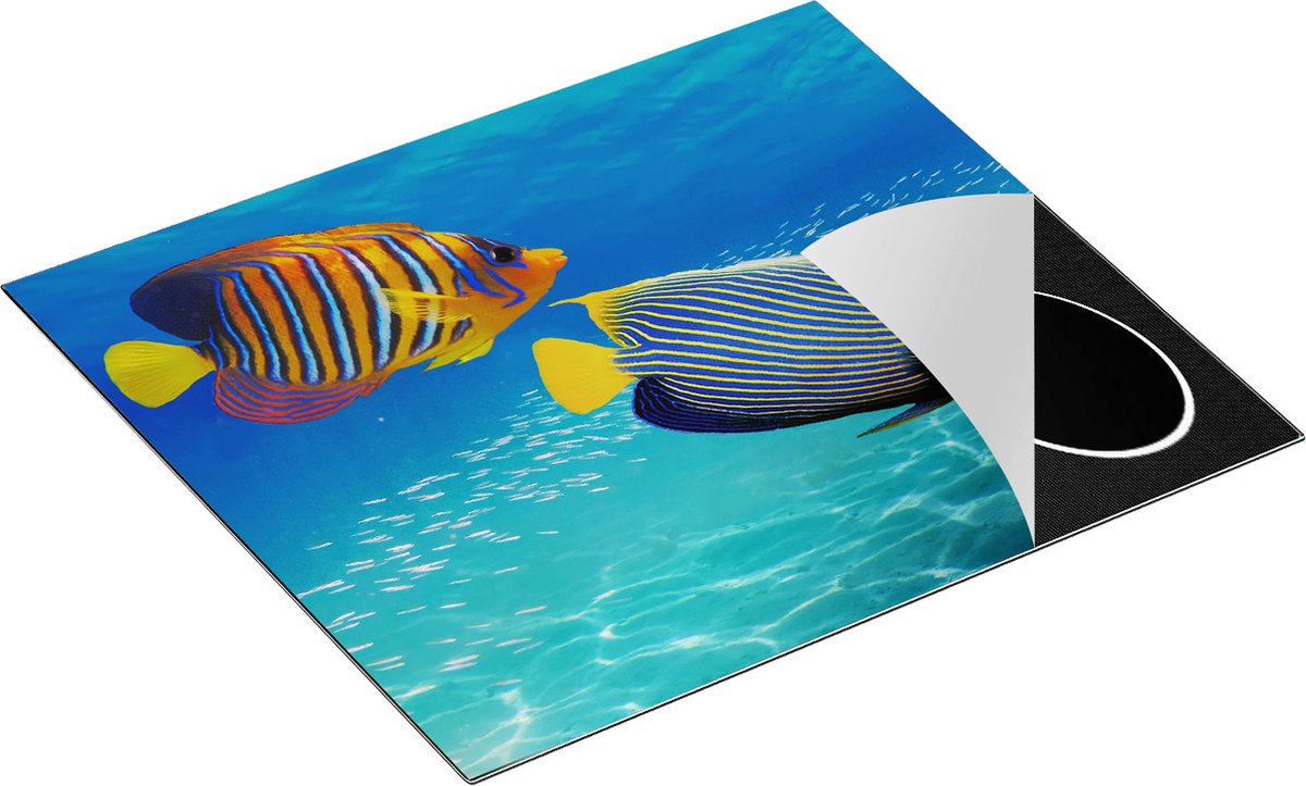 Chefcare Inductie Beschermer Twee Tropische Vissen in de Rode Zee - 60x50 cm - Afdekplaat Inductie - Kookplaat Beschermer - Inductie Mat