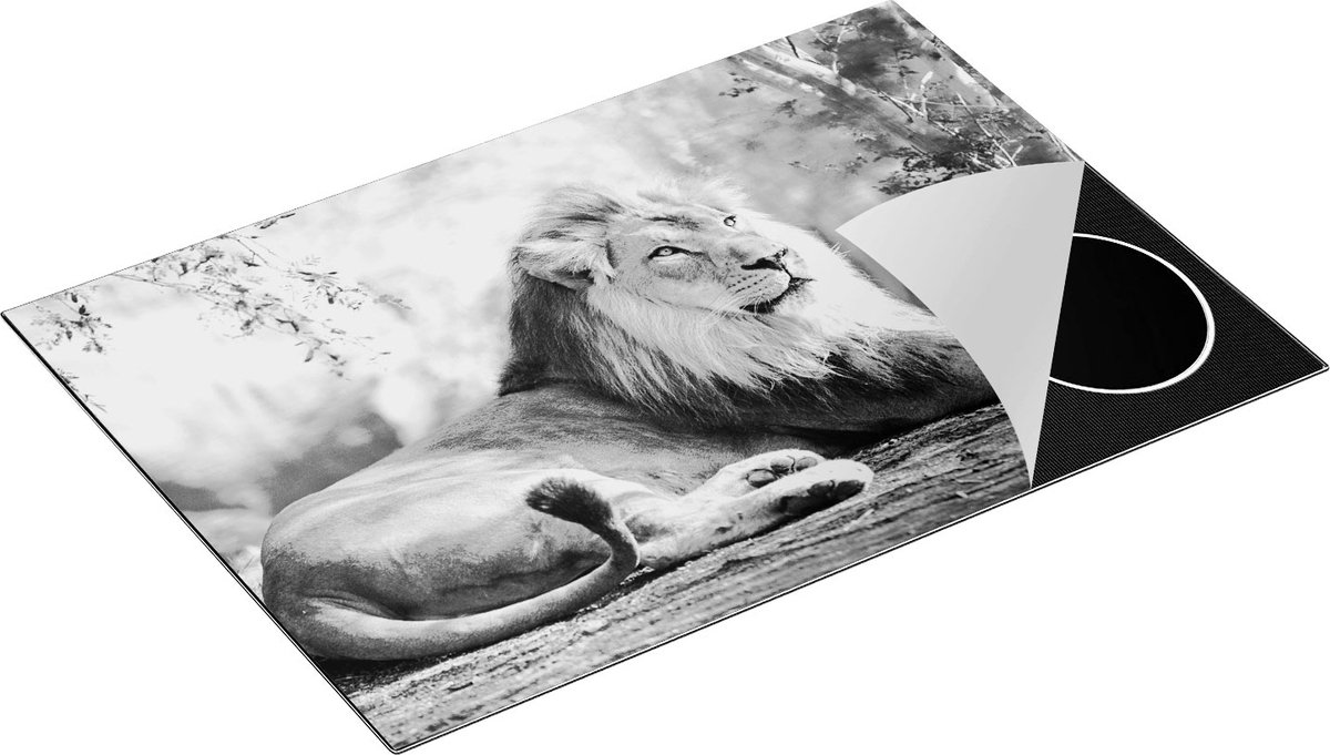 Chefcare Inductie Beschermer Leeuw - Zwart Wit - 76x51,5 cm - Afdekplaat Inductie - Kookplaat Beschermer - Inductie Mat