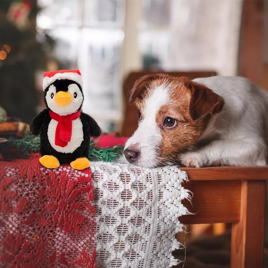 Coffret cadeau de Noël pour chien | bol.com