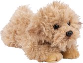 Pluche knuffel dieren Labradoodle hond 30 cm - Speelgoed knuffelbeesten - Honden soorten