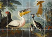 IXXI Exotic Birds - Wanddecoratie - Dieren en insecten - 140 x 100 cm