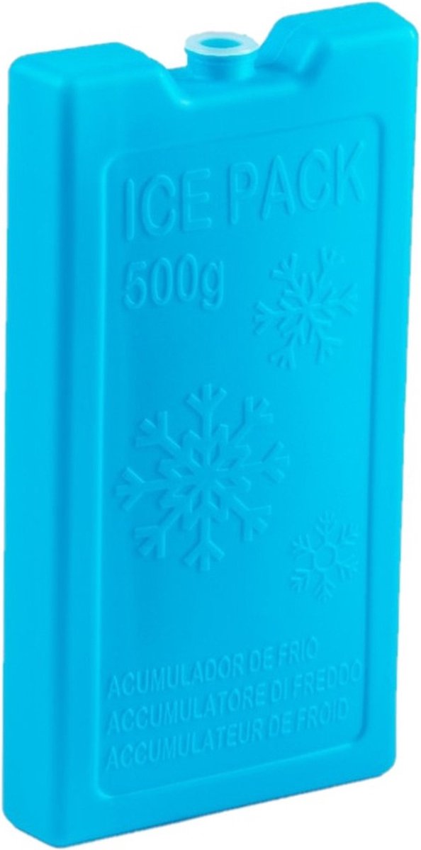 6x stuks 500 grams koelelementen 20 x 10.5 x 2.5 cm blauw plastic van NIERBO — afbeelding 2