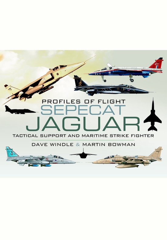 Profiles of Flight - cover