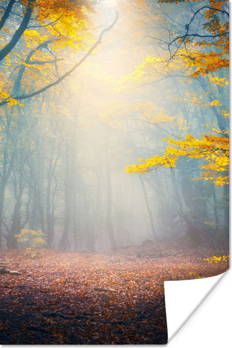 Poster Bos - Mist - Herfst - 40x60 cm