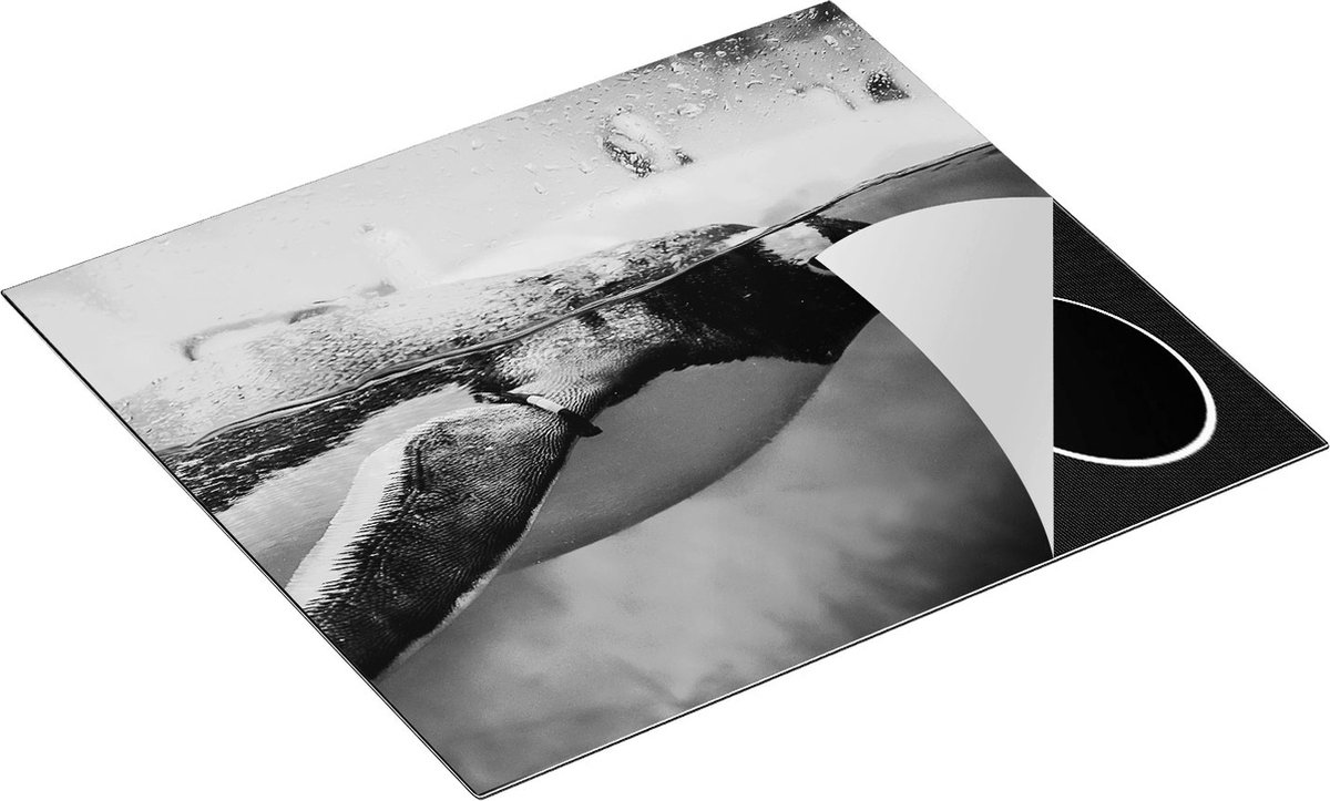 Chefcare Inductie Beschermer Pinguïn Zwemt in het Water - Zwart Wit - 60x55 cm - Afdekplaat Inductie - Kookplaat Beschermer - Inductie Mat