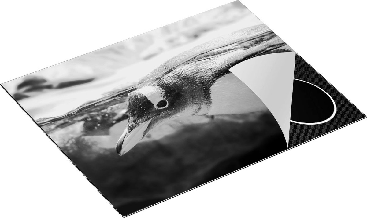 Chefcare Inductie Beschermer Pinguïn Zwemt onder Water - Zwart Wit - 65x55 cm - Afdekplaat Inductie - Kookplaat Beschermer - Inductie Mat