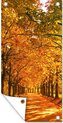 Affiche jardin d'automne - CM 1:2 3-1