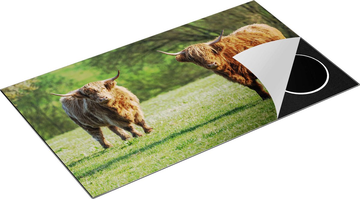 Chefcare Inductie Beschermer Twee Schotse Hooglanders op het Gras - 90x55 cm - Afdekplaat Inductie - Kookplaat Beschermer - Inductie Mat