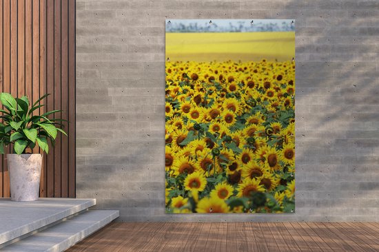 Tuinposter - Bloemen - Zonnebloemen - Tuindecoratie - Bloemenveld - 120x180 cm - Tuinschilderij - Tuindoek