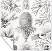 Tuinposter - Kunst - Schuttingposter - Ernst Haeckel - Tuin - 100x100 cm - Tuindecoratie - Muurdecoratie - Tuindoek - Buitenposter