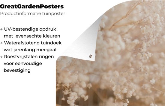 Affiche de jardin - Pampa - Herbe de la pampa plante de jardin - Plantes - Nature - Rose - 120x180 cm - Affiche de jardin fleurs - Jardin - Décoration murale - Décoration murale