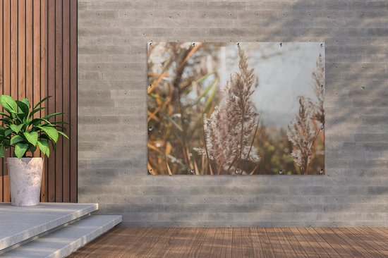 Affiche de jardin - Pampa - Herbe de la pampa plante de jardin - Plante - Nature - Rose - 160x120 cm - Affiche de clôture - Jardin - Décoration murale - Décoration de Décoration de jardin - Toile de jardin