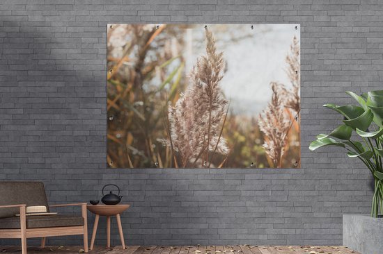 Affiche de jardin - Pampa - Herbe de la pampa plante de jardin - Plante - Nature - Rose - 160x120 cm - Affiche de clôture - Jardin - Décoration murale - Décoration de Décoration de jardin - Toile de jardin