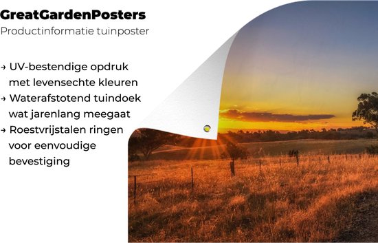 Affiche de jardin - Arbre - Herbe - Toile de clôture - Nature - Colline - Soleil - Jardin - Décoration de jardin - 80x40 cm - Toile de jardin - Affiche extérieure