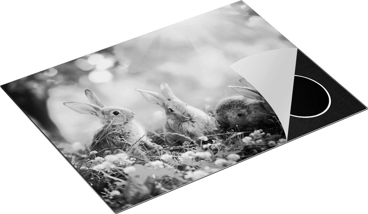 Chefcare Inductie Beschermer Drie Konijnen op het Gras bij Zonneschijn - Zwart Wit - 70x55 cm - Afdekplaat Inductie - Kookplaat Beschermer - Inductie Mat