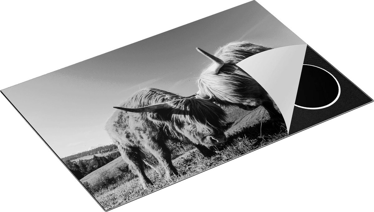 Chefcare Inductie Beschermer Twee Schotse Hooglanders op een Heuvel - Zwart Wit - 81x52 cm - Afdekplaat Inductie - Kookplaat Beschermer - Inductie Mat