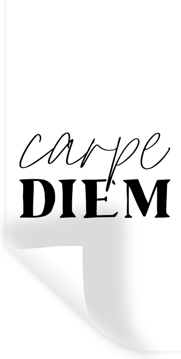 Sticker Mural XXL Carpe Diem - Autocollant Citation Décoratif, Marque Schilderio
