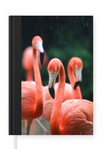 Notitieboek - Schrijfboek - Flamingo's in de regen - Notitieboekje klein - A5 formaat - Schrijfblok